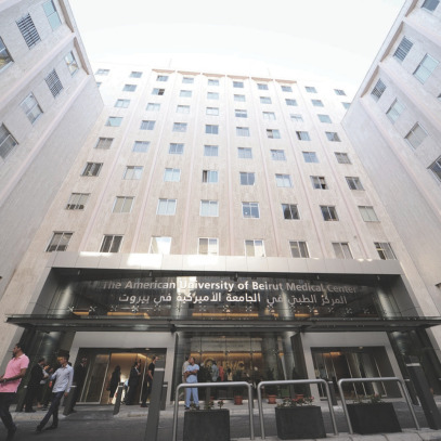 Neurocritical Care in Lebanon: Progress Within Constraint